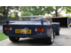 Star Rear View GIF.gif